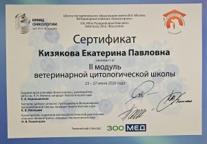 Сертификат Кизякова Екатерина Павловна