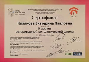 Сертификат Кизякова Екатерина Павловна