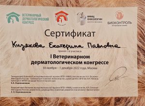 Сертификат Кизякова Екатерина Павловна