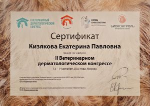 Сертификат Кизякова Екатерина Павловна