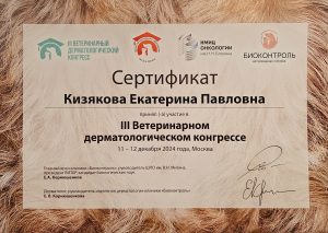 Сертификат Кизякова Екатерина Павловна