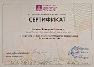 Сертификат Кизякова Екатерина Павловна